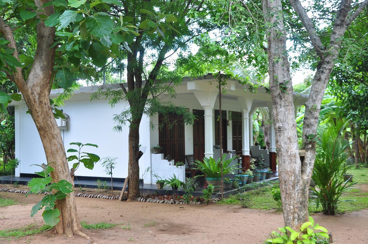 Sigiriya Flower Guest Exterior photo